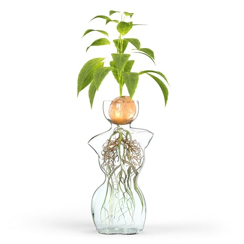 Glass Vase for Flowers or Plant Propagation in Unique Woman Body Form Design - Ideal for Water Rooting Bulbs Plants Seeds - Artistic Clear Silhouette Decor for Home & Garden
