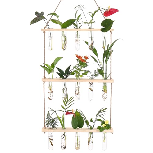 ONEPENG Propagation Station,3 Tiered Wall Hanging Plant Terrarium with Wooden Stand for Propagating Hydroponic Plants Home Office Decor Plant Lover Gifts(16 Test Tubes/Beige)