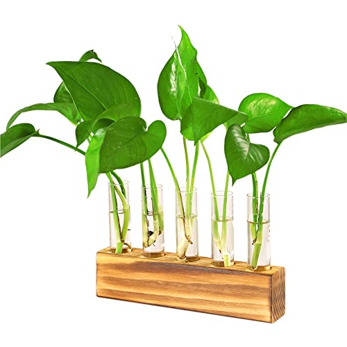 Plant Propagation Stations Terrarium with Wooden Stand-Desktop Glass Bulb Plant Vase for Hydroponics Plant Cutting Home Office Garden Decor Plant Lover Gift (Style F)