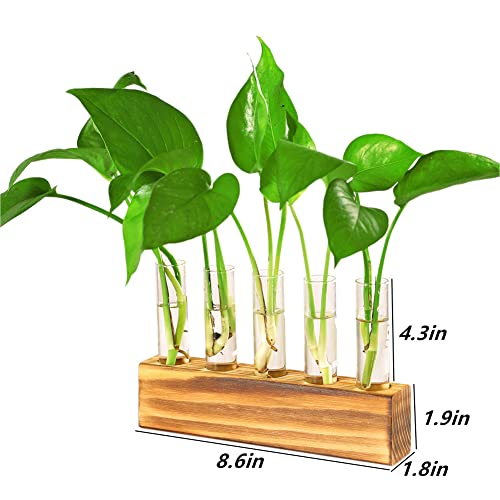 Plant Propagation Stations Terrarium with Wooden Stand-Desktop Glass Bulb Plant Vase for Hydroponics Plant Cutting Home Office Garden Decor Plant Lover Gift (Style F)