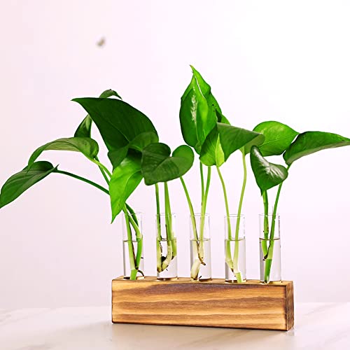 Plant Propagation Stations Terrarium with Wooden Stand-Desktop Glass Bulb Plant Vase for Hydroponics Plant Cutting Home Office Garden Decor Plant Lover Gift (Style F)