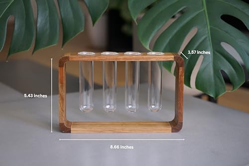 Source & Plot - Plant Propagation Station - Acacia Wood Stand 4 Glass Test Tube Hydroponic Tabletop Rooting Terrarium Planter Rack Home and Office Decor - Gift for Plant Lovers