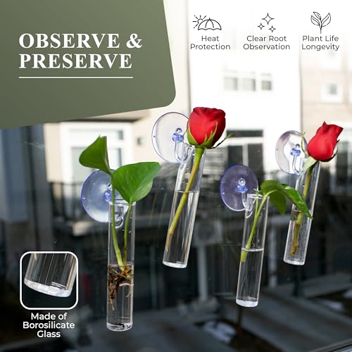 Window Propagation Stations (Set of 4) | Easy to Install Plant Propagation Tubes with Suction Cups - No Nails | Hanging Propagation Station | Gifts for Plant Lovers | Hanging Terrarium