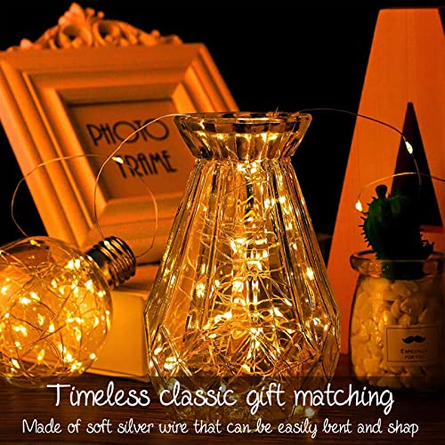 7Ft 20LED Warm White Fairy Lights for Weddings