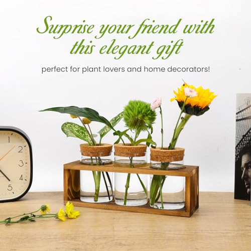 Pechaut Propagation Station for Plant Growth, Ideal Gifts for Women, Enhances Home Dcor, Ideal Indoor Centerpiece for Plant Lovers, Brown