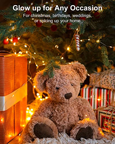 12 pack battery operated LED fairy lights for events