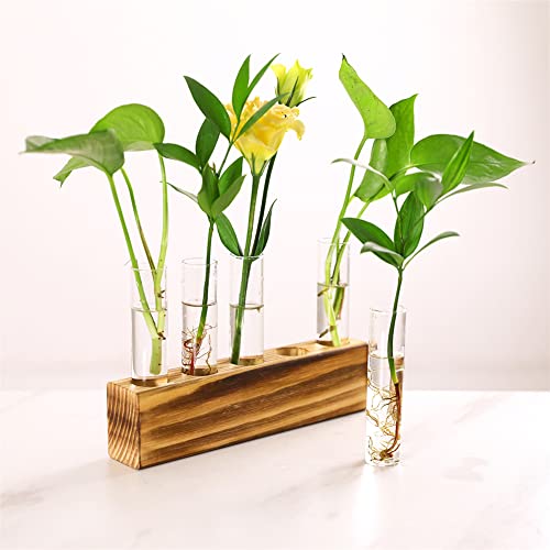 Plant Propagation Stations Terrarium with Wooden Stand-Desktop Glass Bulb Plant Vase for Hydroponics Plant Cutting Home Office Garden Decor Plant Lover Gift (Style F)