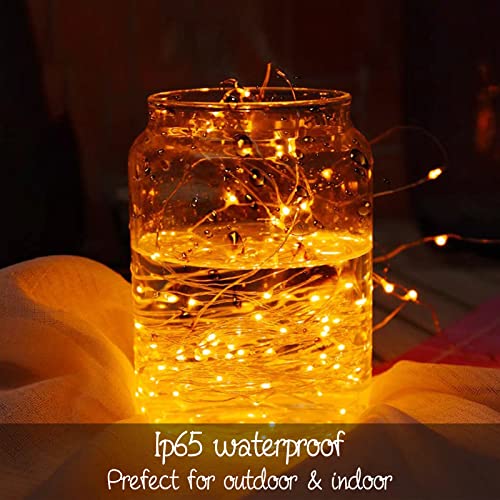 7Ft 20LED Warm White Fairy Lights for Weddings