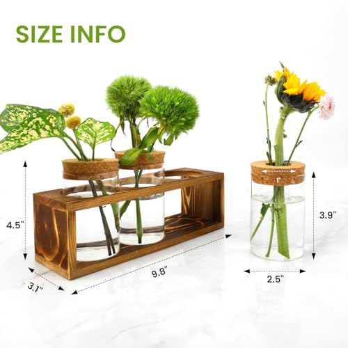 Pechaut Propagation Station for Plant Growth, Ideal Gifts for Women, Enhances Home Dcor, Ideal Indoor Centerpiece for Plant Lovers, Brown