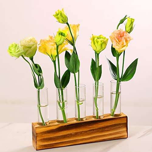 Plant Propagation Stations Terrarium with Wooden Stand-Desktop Glass Bulb Plant Vase for Hydroponics Plant Cutting Home Office Garden Decor Plant Lover Gift (Style F)