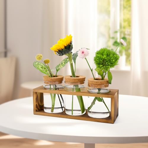 Pechaut Propagation Station for Plant Growth, Ideal Gifts for Women, Enhances Home Dcor, Ideal Indoor Centerpiece for Plant Lovers, Brown