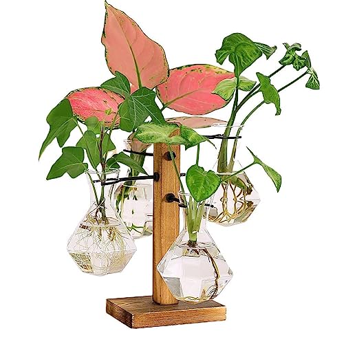 Plant Propagation Stations Terrarium with Wooden Stand-Desktop Glass Bulb Plant Vase for Propagating Hydroponic Plants Home Garden Office Decor (Style 8)