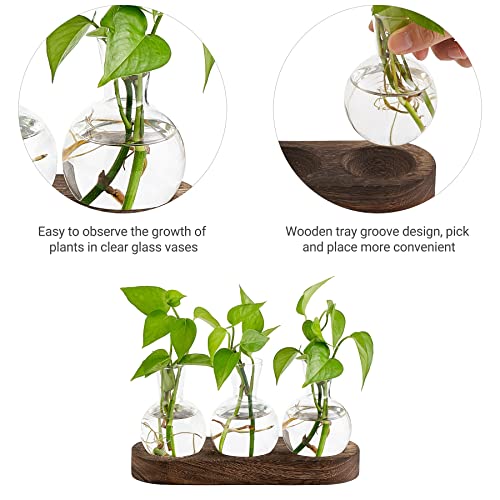 Mkono Desktop Plant Propagation Station Glass Planter Terrarium with Wooden Tray Bulb Flower Vase Perfect for Propagating Hydroponic Plants Home Office Decor Plant Lover Gift Idea