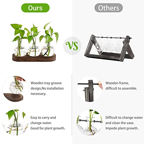 Mkono Desktop Plant Propagation Station Glass Planter Terrarium with Wooden Tray Bulb Flower Vase Perfect for Propagating Hydroponic Plants Home Office Decor Plant Lover Gift Idea