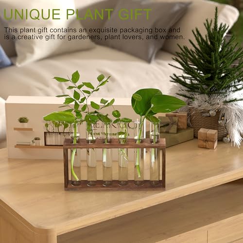 Veakoo Plant Terrarium with Wooden Stand, Desktop/Wall Hanging Live Plant Propagation Station Planters Glass Tubes Hydroponic Vase Air Planter Holder for Indoor Office Home Garden Decor (6 Test Tubes)