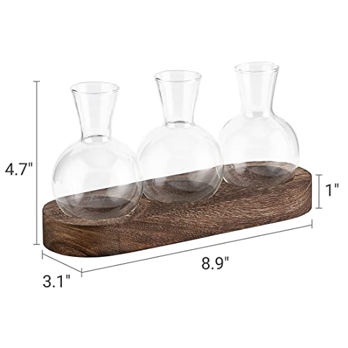 Mkono Desktop Plant Propagation Station Glass Planter Terrarium with Wooden Tray Bulb Flower Vase Perfect for Propagating Hydroponic Plants Home Office Decor Plant Lover Gift Idea