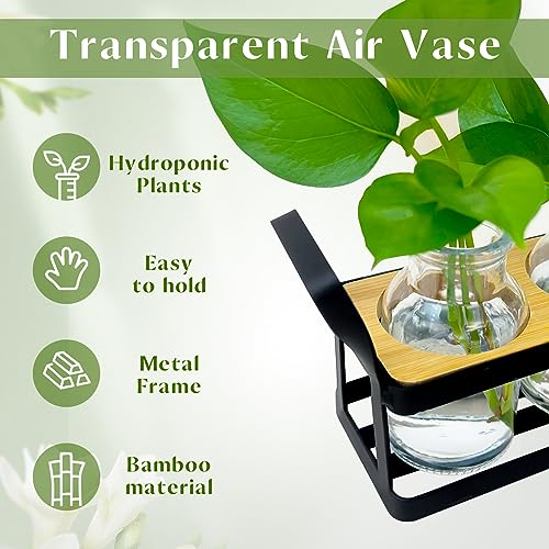 Quuavio Plant Propagation Stations with Metal Stand, Desktop Plant Terrarium with 5 Air Propogation Jars, Flower Glass Vasefor Hydroponic, Home Garden Window Office Decor, Plants Gifts