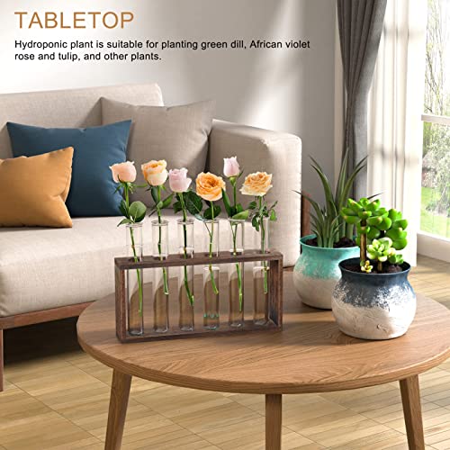 Veakoo Plant Terrarium with Wooden Stand, Desktop/Wall Hanging Live Plant Propagation Station Planters Glass Tubes Hydroponic Vase Air Planter Holder for Indoor Office Home Garden Decor (6 Test Tubes)