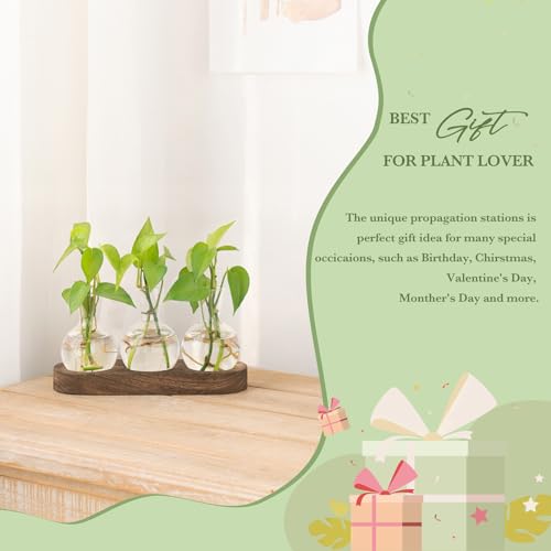 Mkono Desktop Plant Propagation Station Glass Planter Terrarium with Wooden Tray Bulb Flower Vase Perfect for Propagating Hydroponic Plants Home Office Decor Plant Lover Gift Idea