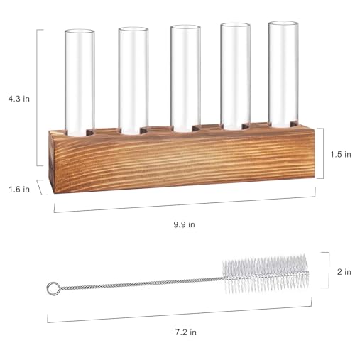 Renmxj Plant Propagation Station, Plant Terrarium with Wooden Stand for Hydroponics Plants Office Decor Unique Gardening Birthday Gifts for Women Plant Lovers - 5 Glass Test Tube Vases