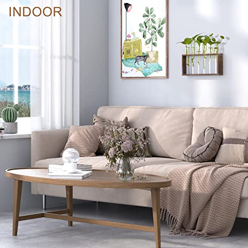 Veakoo Plant Terrarium with Wooden Stand, Desktop/Wall Hanging Live Plant Propagation Station Planters Glass Tubes Hydroponic Vase Air Planter Holder for Indoor Office Home Garden Decor (6 Test Tubes)