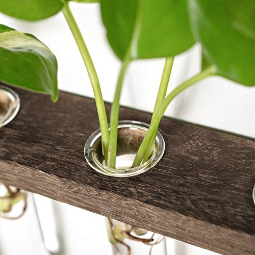 Mkono Plant Propagation Tubes, 3 Tiered Wall Hanging Terrarium with Wooden Stand Mini Test Tube Flower Vase Glass Planter Stations for Hydroponic Cutting Home Garden Office Decor Plant Lover Gift
