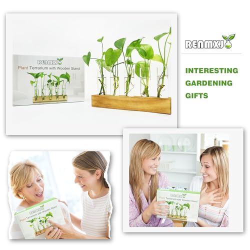 Renmxj Plant Propagation Station, Plant Terrarium with Wooden Stand for Hydroponics Plants Office Decor Unique Gardening Birthday Gifts for Women Plant Lovers - 5 Glass Test Tube Vases