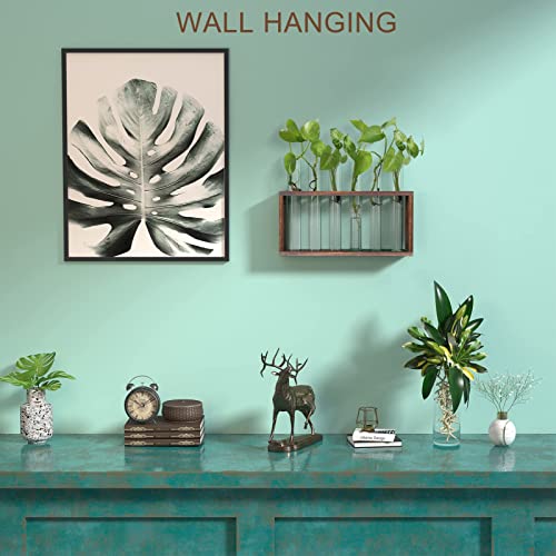 Veakoo Plant Terrarium with Wooden Stand, Desktop/Wall Hanging Live Plant Propagation Station Planters Glass Tubes Hydroponic Vase Air Planter Holder for Indoor Office Home Garden Decor (6 Test Tubes)