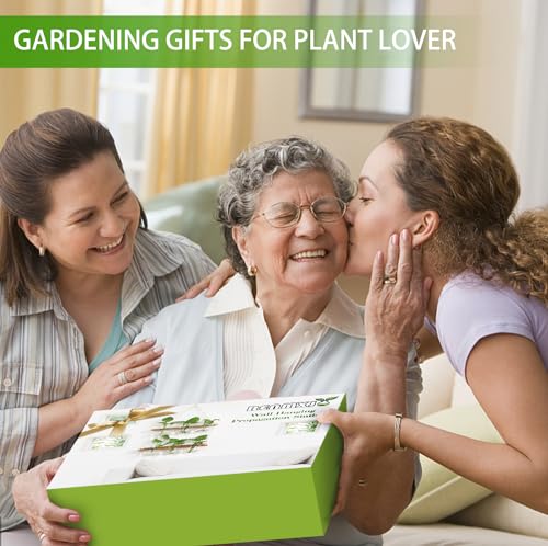 Renmxj Wall Hanging Plant Propagation Station - 6 Bulb Vase 2 Tiered Wooden Stand Plant Terrarium kit, Unique Gardening Gifts for Women Grandma Sister Mom Her Wife and Friends