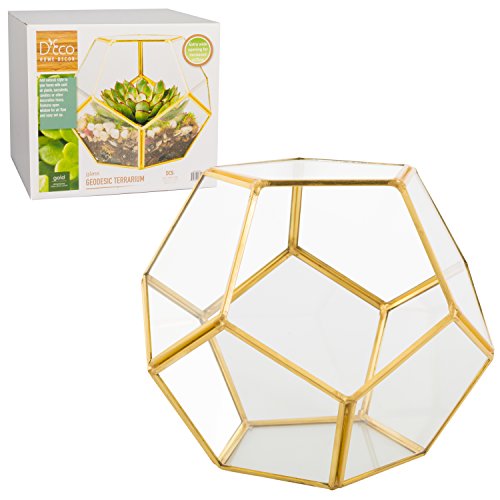 D'Eco Glass Geometric Plant Terrarium (8.2x8.2x8.2) - Indoor Tabletop Gold Sphere Planter Terrarium - Succulents, Air Plants, Moss - Home Garden Office Decor - Gift for Plant Lovers (Terrarium Only)