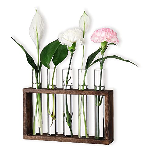 YIBOT Plants Propagation Stations 5 Glass Test Tubes Plant Terrarium with Wooden Stand for Propagating Hydroponic Plants Home Office Decor Plant Lover Gifts