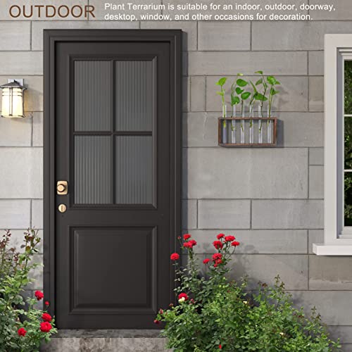 Veakoo Plant Terrarium with Wooden Stand, Desktop/Wall Hanging Live Plant Propagation Station Planters Glass Tubes Hydroponic Vase Air Planter Holder for Indoor Office Home Garden Decor (6 Test Tubes)