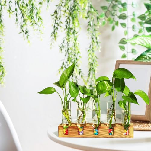Renmxj Plant Propagation Station, Plant Terrarium with Wooden Stand for Hydroponics Plants Office Decor Unique Gardening Birthday Gifts for Women Plant Lovers - 5 Glass Test Tube Vases
