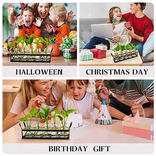 Quuavio Plant Propagation Stations with Metal Stand, Desktop Plant Terrarium with 5 Air Propogation Jars, Flower Glass Vasefor Hydroponic, Home Garden Window Office Decor, Plants Gifts