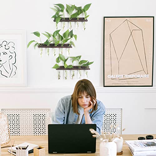 Renmxj Plant Propagation Station Tubes, 3 Tiered Wall Hanging Mini Glass Test Tubes Vase Planter for Hydroponic Home Garden Office Decor, Gardening Gift for Women Plant Lover - Brown