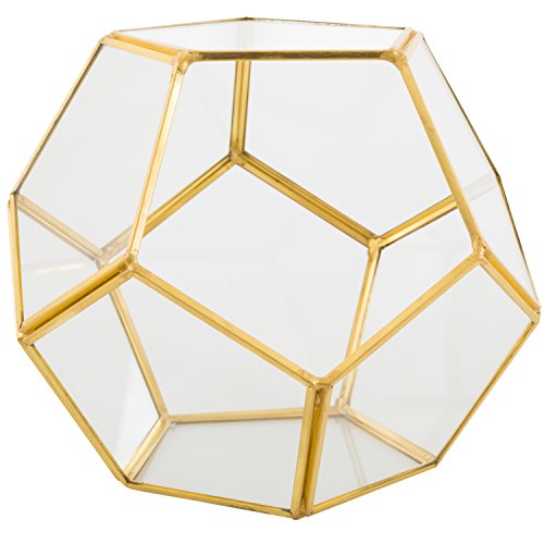 D'Eco Glass Geometric Plant Terrarium (8.2x8.2x8.2) - Indoor Tabletop Gold Sphere Planter Terrarium - Succulents, Air Plants, Moss - Home Garden Office Decor - Gift for Plant Lovers (Terrarium Only)