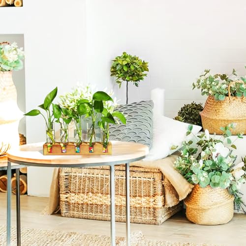 Renmxj Plant Propagation Station, Plant Terrarium with Wooden Stand for Hydroponics Plants Office Decor Unique Gardening Birthday Gifts for Women Plant Lovers - 5 Glass Test Tube Vases