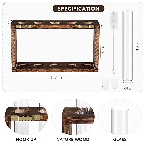 YIBOT Plants Propagation Stations 5 Glass Test Tubes Plant Terrarium with Wooden Stand for Propagating Hydroponic Plants Home Office Decor Plant Lover Gifts