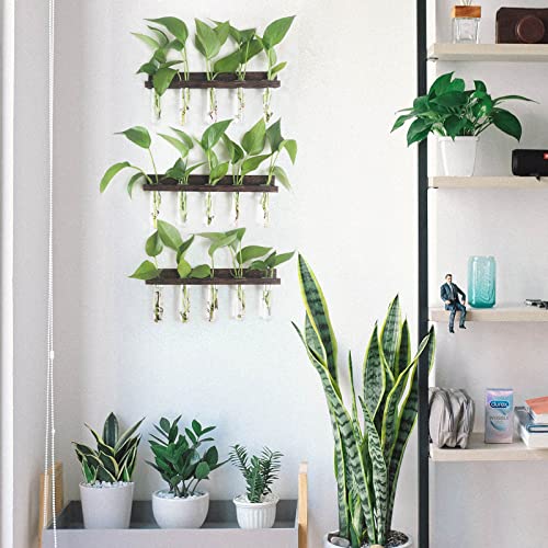 Renmxj Plant Propagation Station Tubes, 3 Tiered Wall Hanging Mini Glass Test Tubes Vase Planter for Hydroponic Home Garden Office Decor, Gardening Gift for Women Plant Lover - Brown