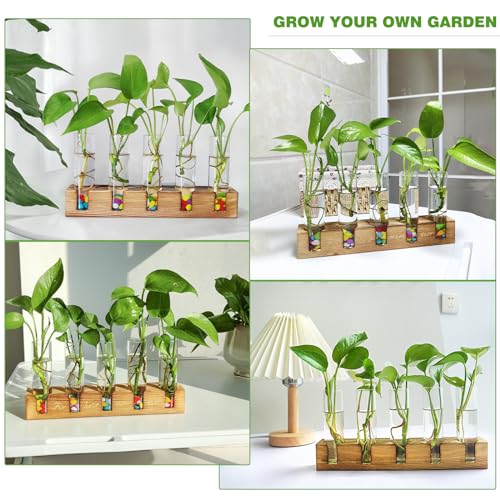 Renmxj Plant Propagation Station, Plant Terrarium with Wooden Stand for Hydroponics Plants Office Decor Unique Gardening Birthday Gifts for Women Plant Lovers - 5 Glass Test Tube Vases