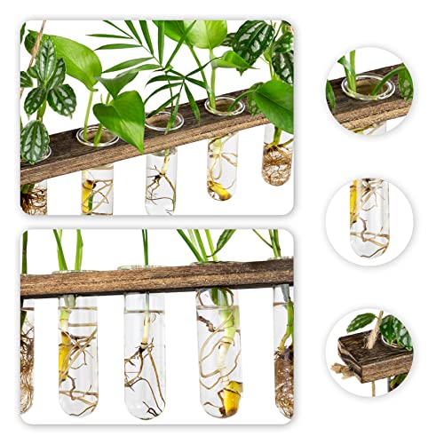 Monsiter QE 3 Tier Large Propagation Stations Wall Hanging Plant Terrarium with Wooden Stand, Retro Propagation Test Tube for Hydroponic Plants Cutting Flower, Propagator Home Office Patio Decor Gifts