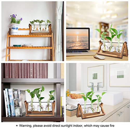 Renmxj Plant Propagation Station, Plant Terrarium with Wooden Stand, Unique Gardening Birthday Gifts for Women Plant Lovers, Home Office Garden Decor Planter - 3 Bulb Glass Vases
