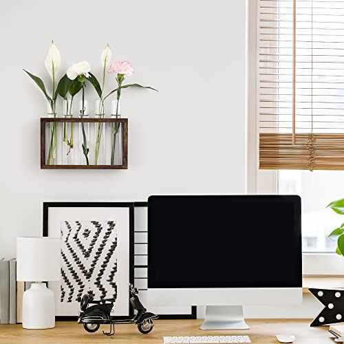 YIBOT Plants Propagation Stations 5 Glass Test Tubes Plant Terrarium with Wooden Stand for Propagating Hydroponic Plants Home Office Decor Plant Lover Gifts