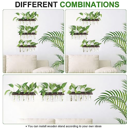 Renmxj Plant Propagation Station Tubes, 3 Tiered Wall Hanging Mini Glass Test Tubes Vase Planter for Hydroponic Home Garden Office Decor, Gardening Gift for Women Plant Lover - Brown