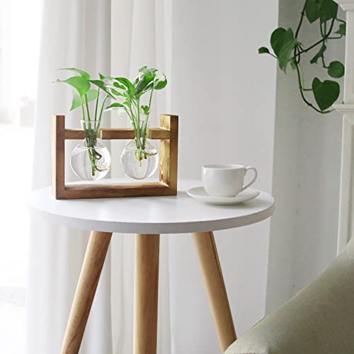 Ivolador Plants Terrarium Glass Bulb Terrarium with Retro Solid Wooden Stand Propagation Sation for Hydroponics Plants Desktop Home Garden Wedding Décor (2 Bulbs)