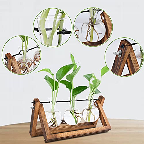 Renmxj Plant Propagation Station, Plant Terrarium with Wooden Stand, Unique Gardening Birthday Gifts for Women Plant Lovers, Home Office Garden Decor Planter - 3 Bulb Glass Vases