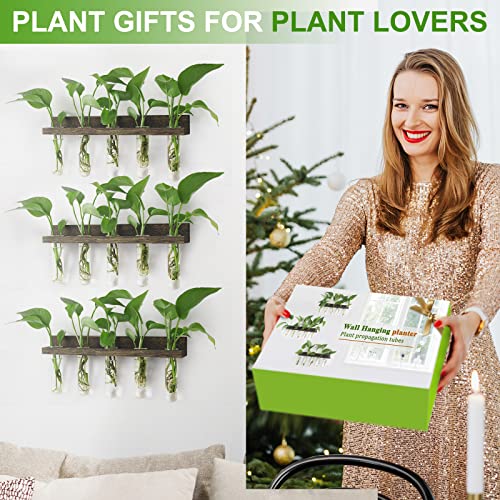 Renmxj Plant Propagation Station Tubes, 3 Tiered Wall Hanging Mini Glass Test Tubes Vase Planter for Hydroponic Home Garden Office Decor, Gardening Gift for Women Plant Lover - Brown