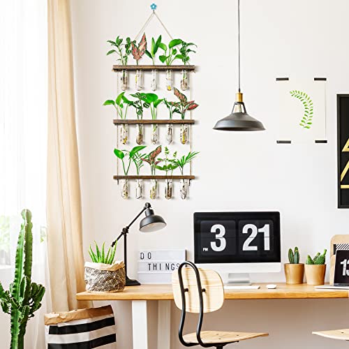 Monsiter QE 3 Tier Large Propagation Stations Wall Hanging Plant Terrarium with Wooden Stand, Retro Propagation Test Tube for Hydroponic Plants Cutting Flower, Propagator Home Office Patio Decor Gifts