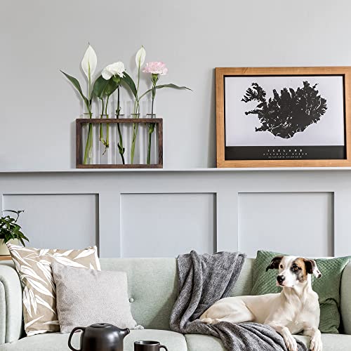 YIBOT Plants Propagation Stations 5 Glass Test Tubes Plant Terrarium with Wooden Stand for Propagating Hydroponic Plants Home Office Decor Plant Lover Gifts