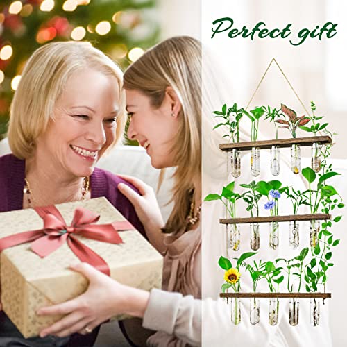 Monsiter QE 3 Tier Large Propagation Stations Wall Hanging Plant Terrarium with Wooden Stand, Retro Propagation Test Tube for Hydroponic Plants Cutting Flower, Propagator Home Office Patio Decor Gifts